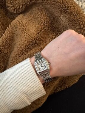 Cartier Panthère De Cartier Watch Mini Model, Quartz Movement, Steel